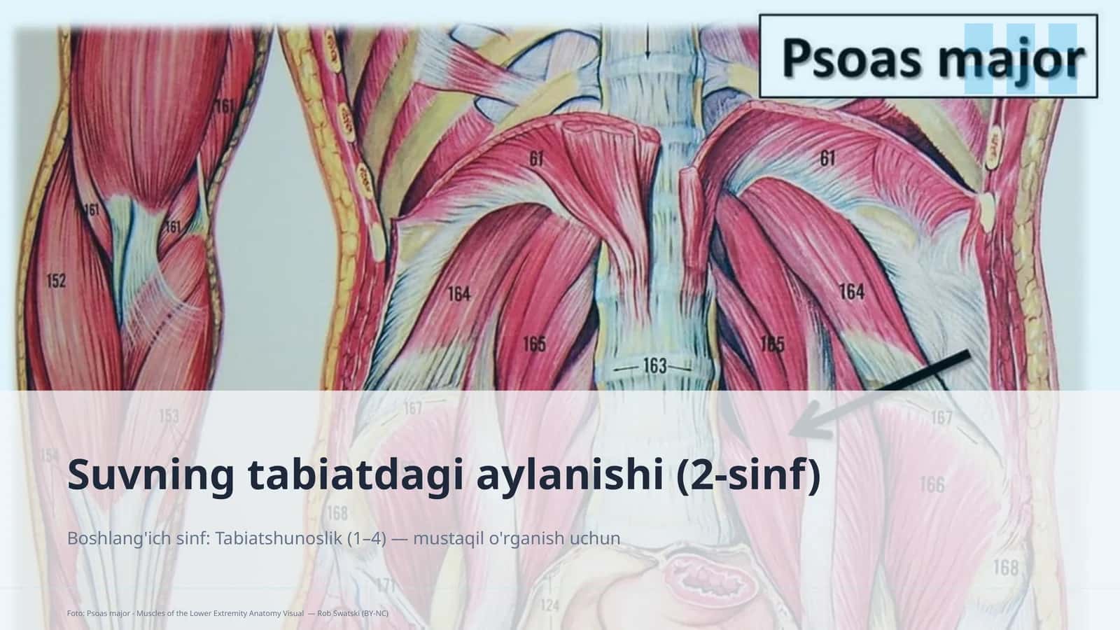 Suvning tabiatdagi aylanishi (2-sinf)