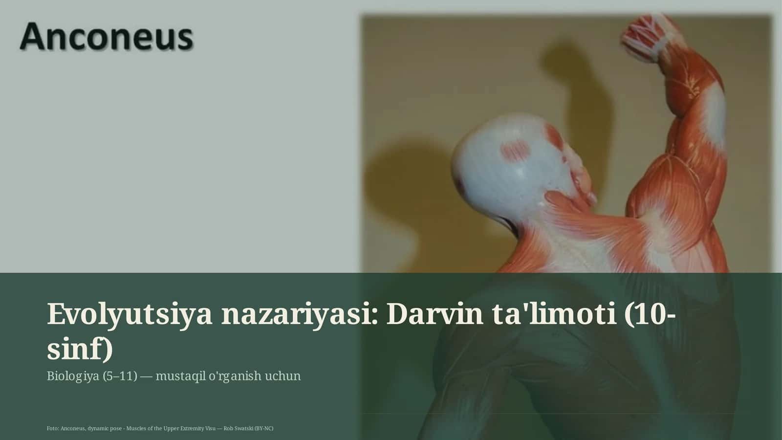 Evolyutsiya nazariyasi: Darvin ta'limoti (10-sinf)