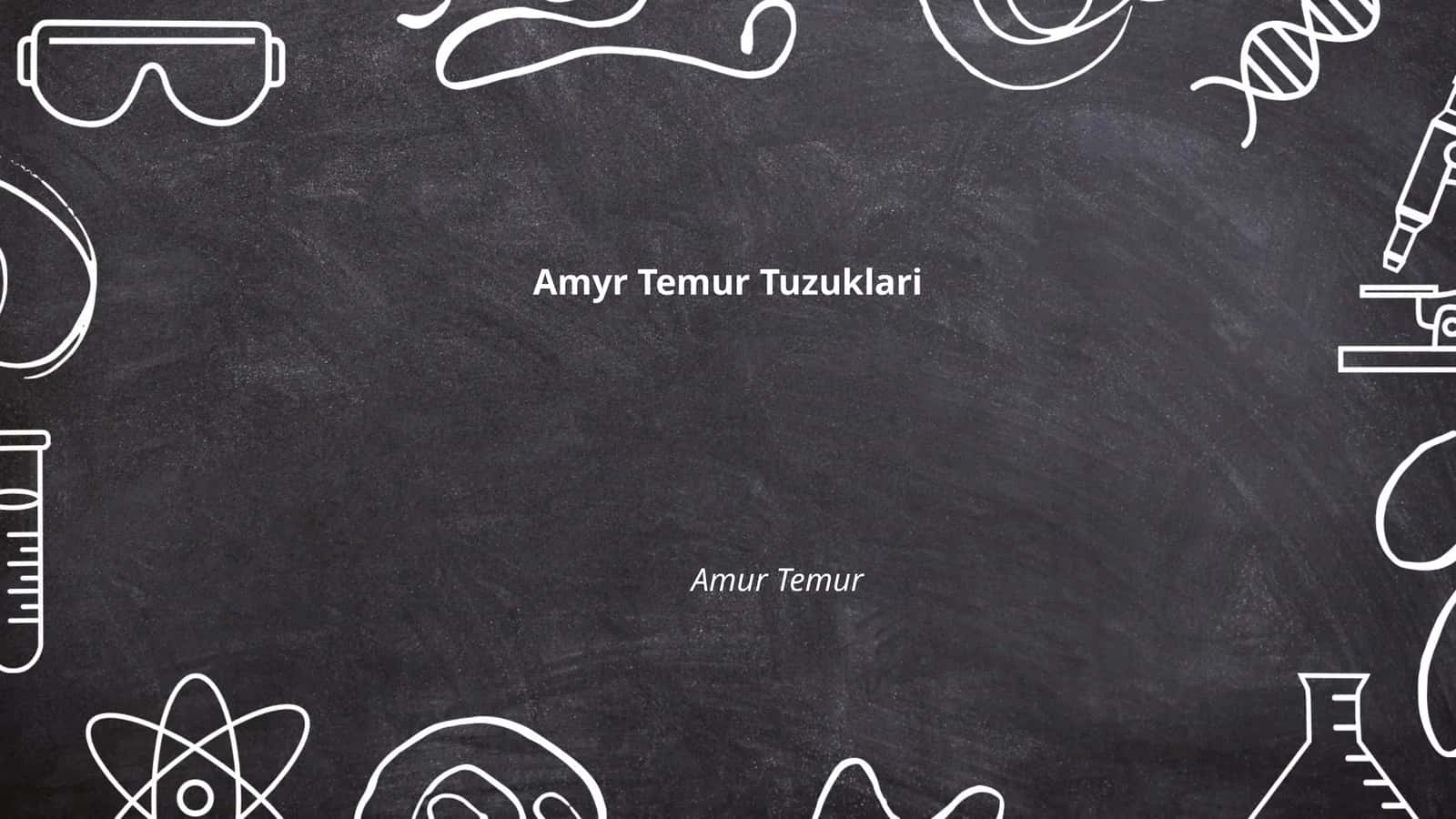 Amyr Temur Tuzuklari