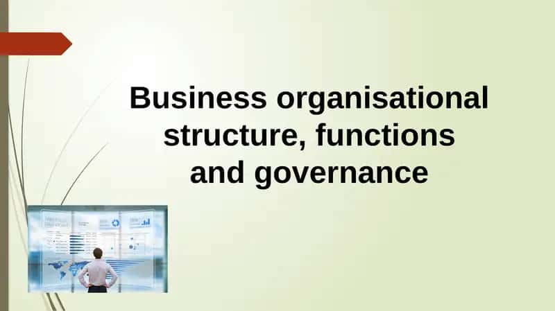 Business Organisational Structure, Functions and Governance