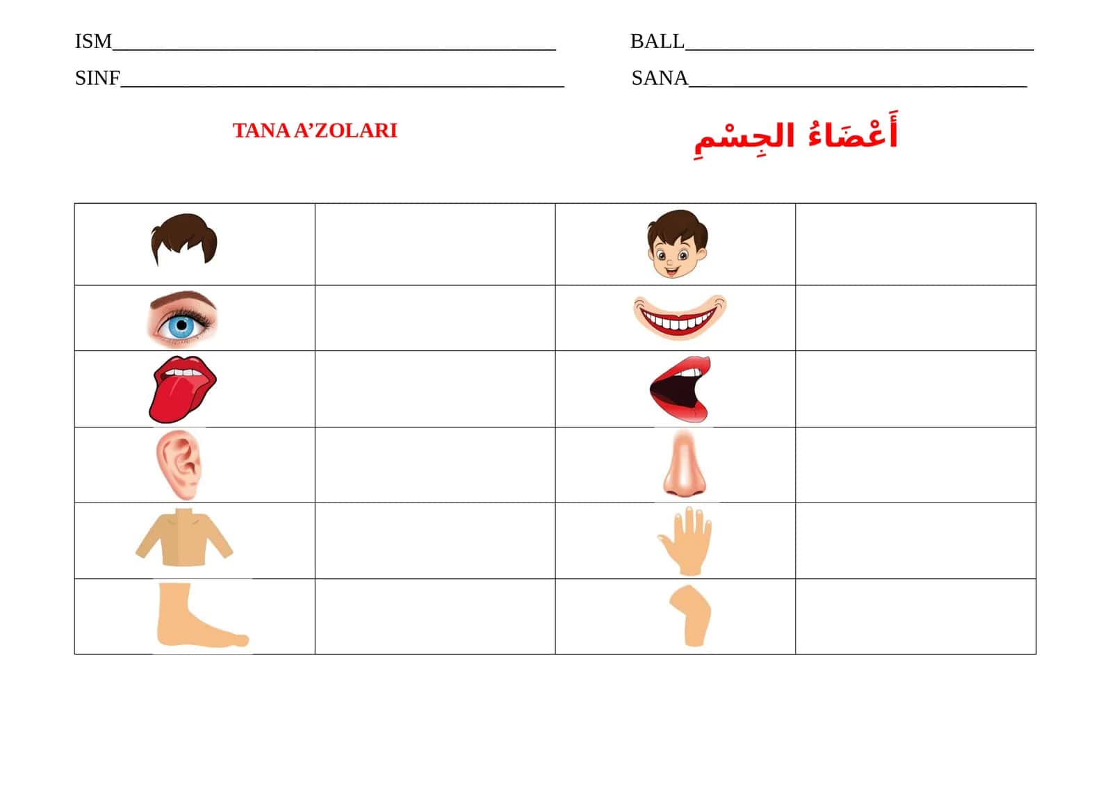 Arab tili tarqatma material