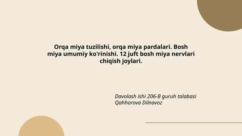 Orqa miya tuzilishi, orqa miya pardalari