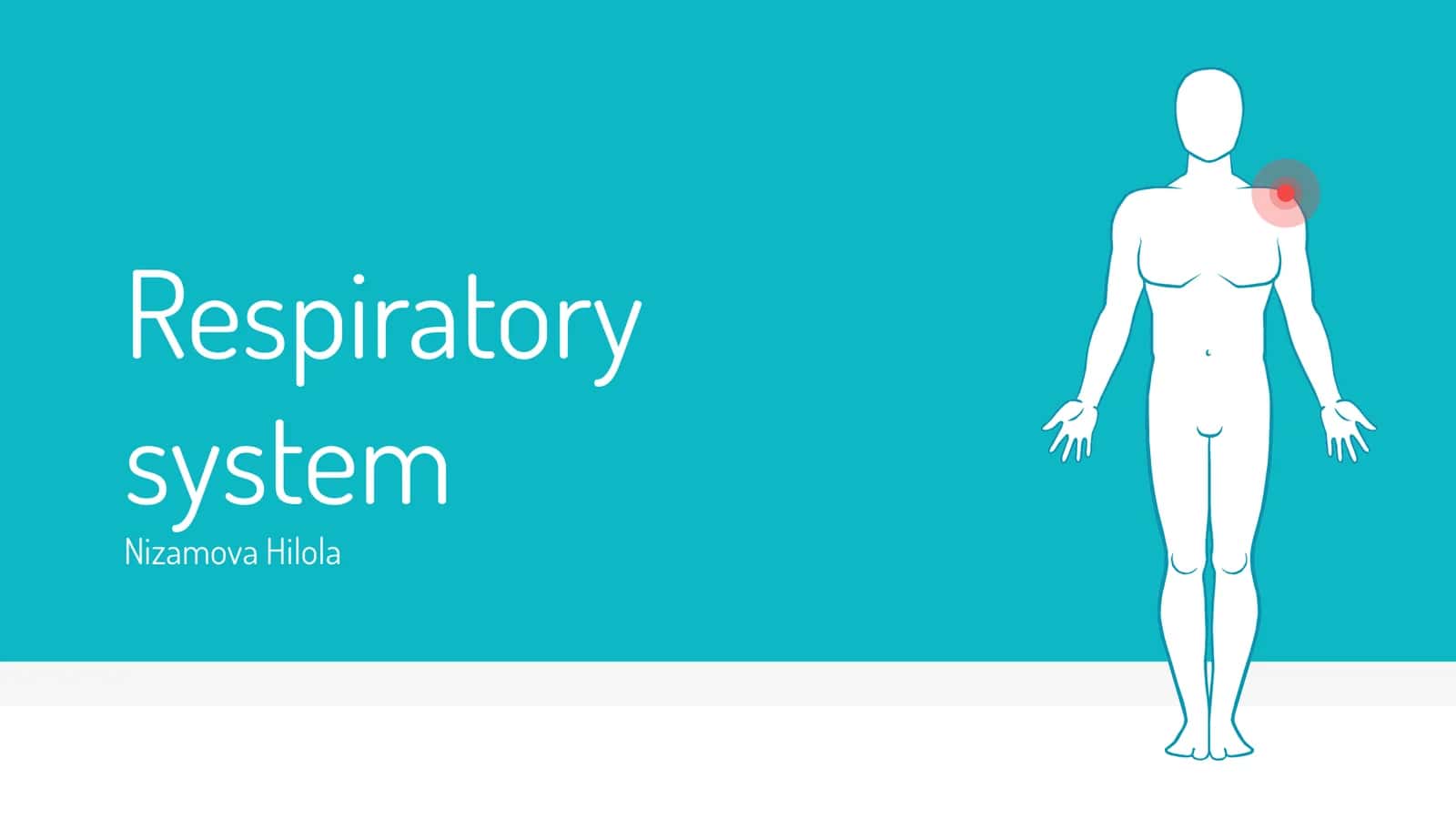 Respiratory system