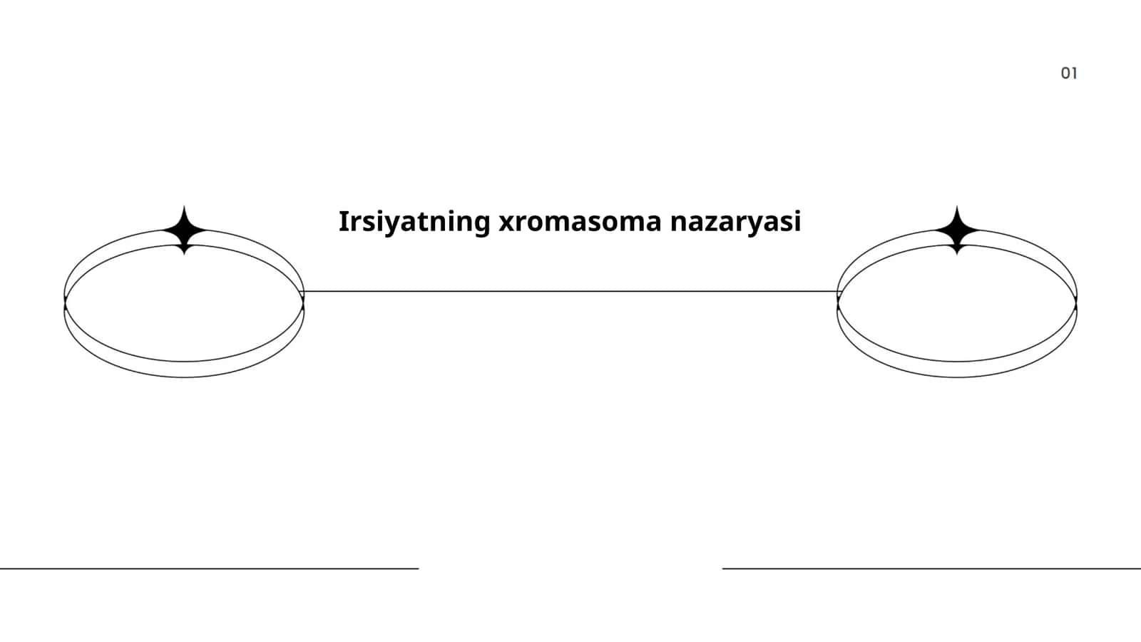 Irsiyatning xromasoma nazaryasi