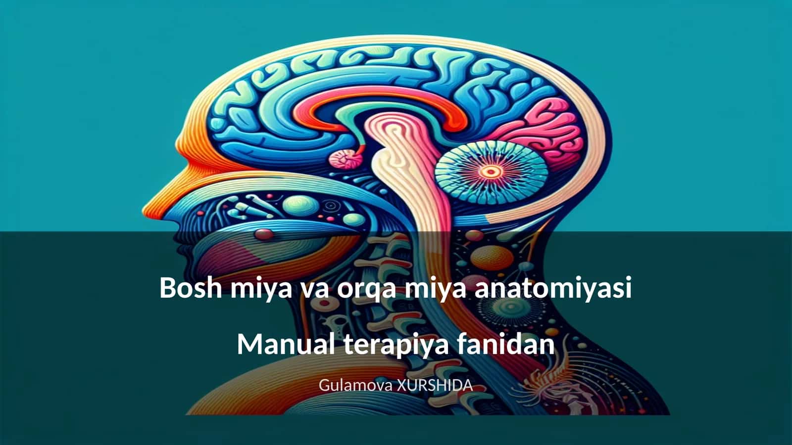 Bosh miya va orqa miya anatomiyasi