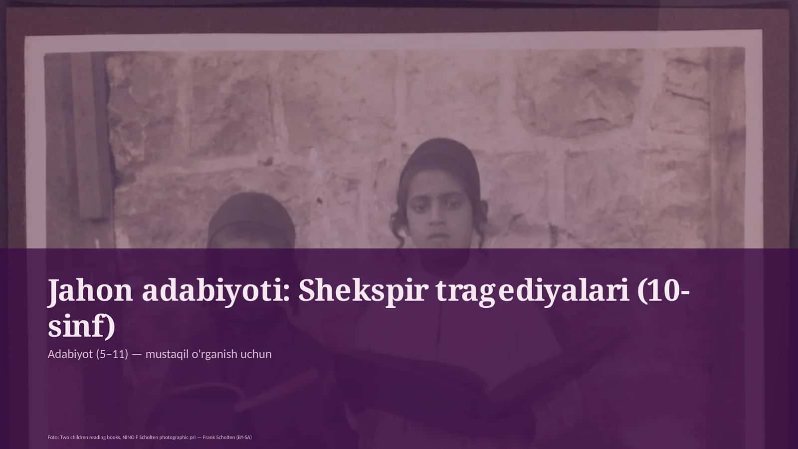 Jahon adabiyoti: Shekspir tragediyalari (10-sinf)