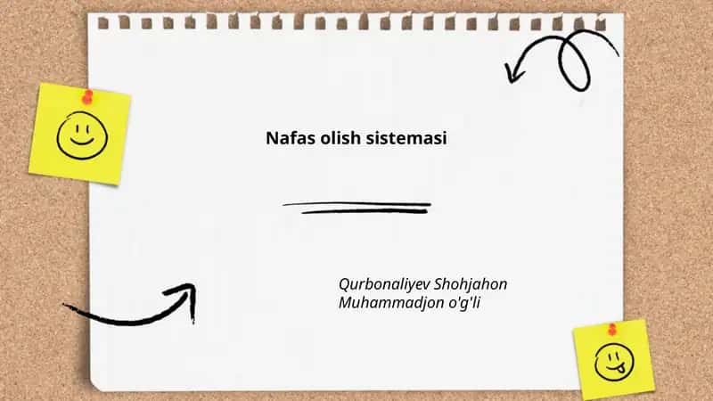 Nafas olish sistemasi