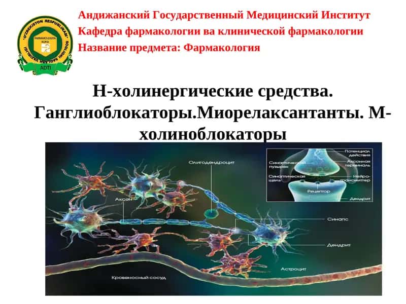 Н-холинергические средства.Ганглиоблокаторы.Миорелаксантанты. М-холиноблокаторы