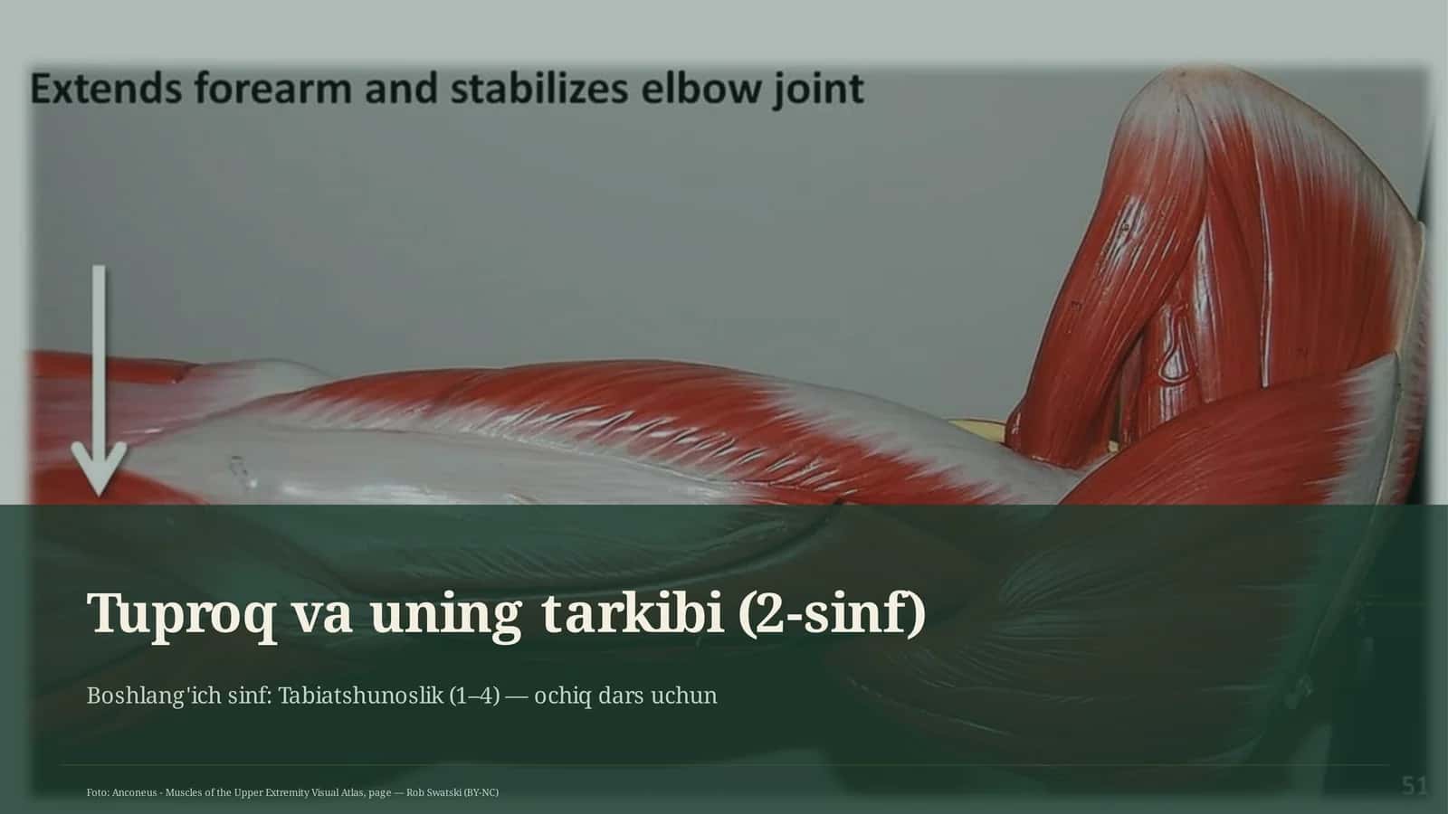 Tuproq va uning tarkibi (2-sinf)