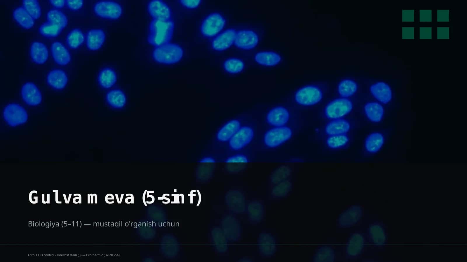 Gul va meva (5-sinf)