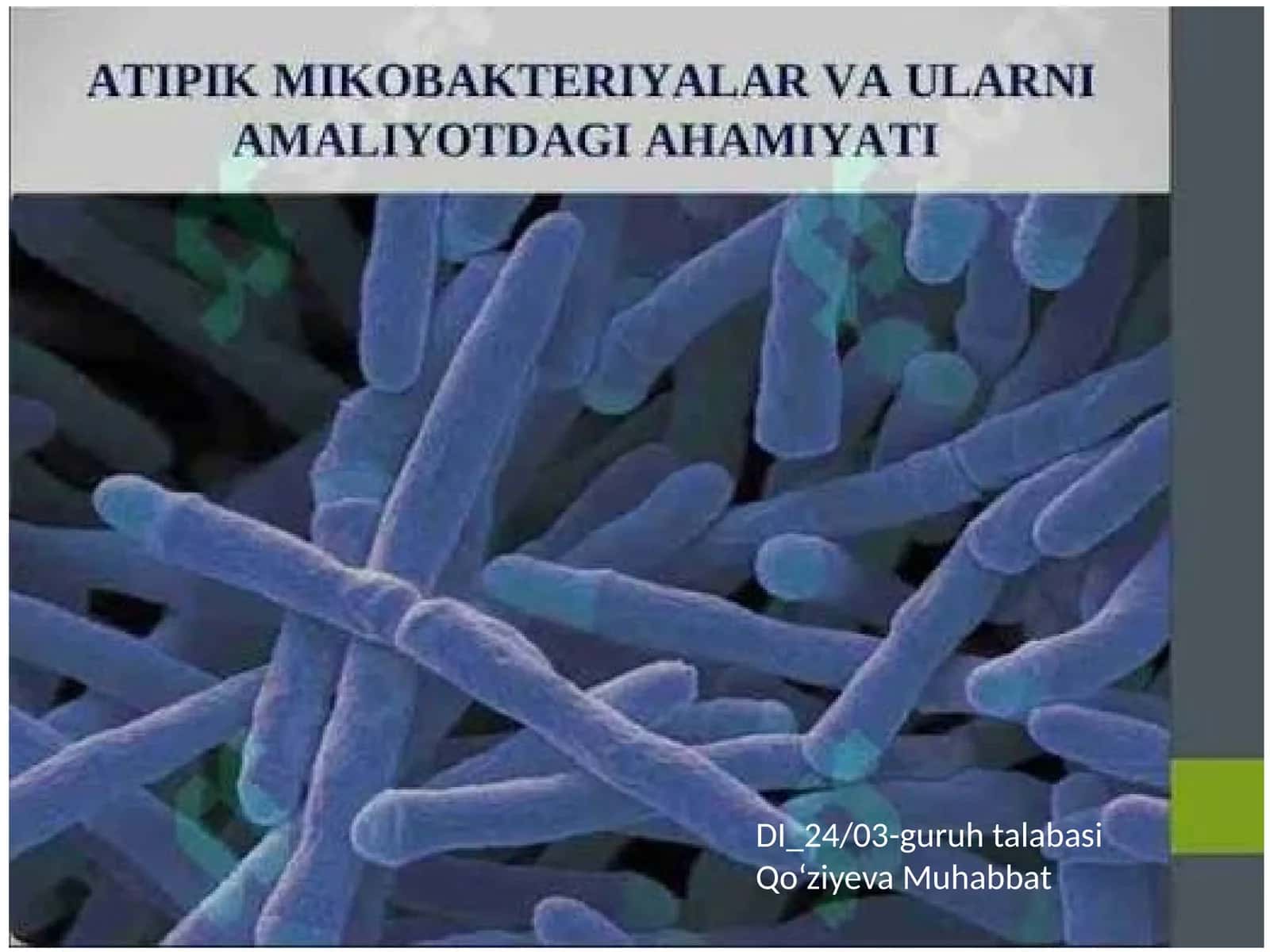 DI_24/03-guruhtalabasi