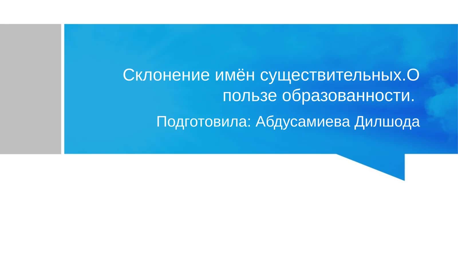 Склонение имён существительных