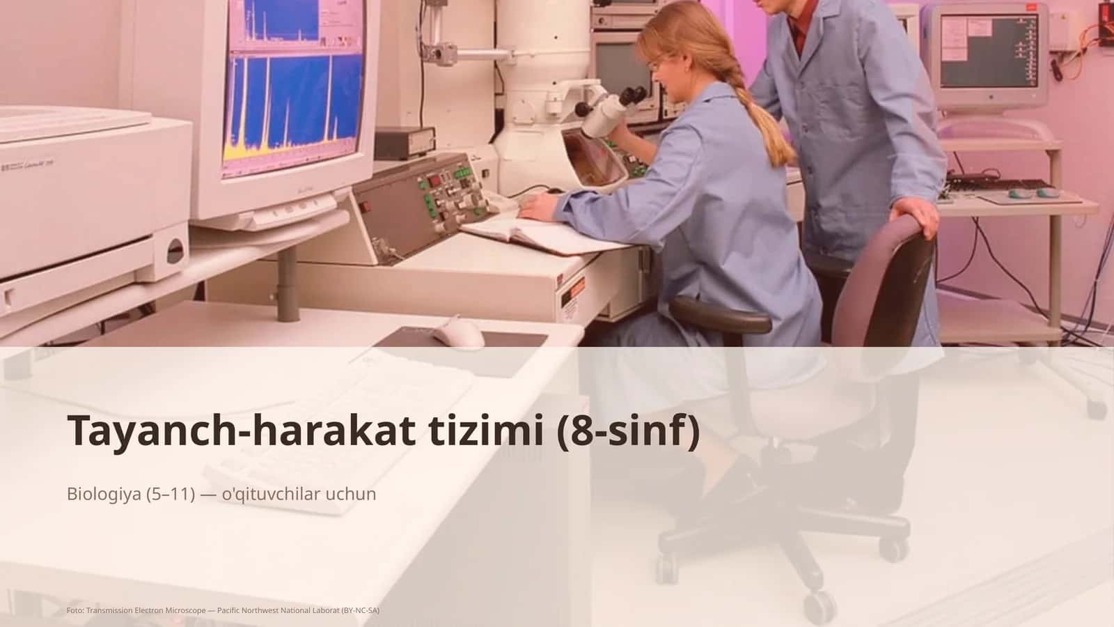 Tayanch-harakat tizimi (8-sinf)