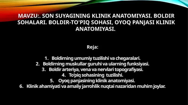 SON SUYAGINING KLINIK ANATOMIYASI. BOLDIR SOHALARI. BOLDIR-TO'PIQ SOHASI, OYOQ PANJASI KLINIK ANATOMIYASI