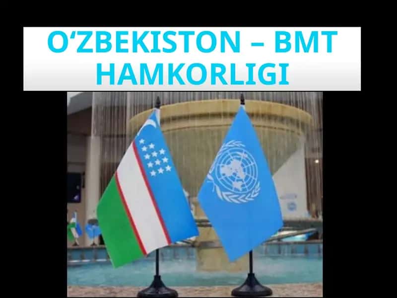 O‘ZBEKISTON – BMT HAMKORLIGI Reja
