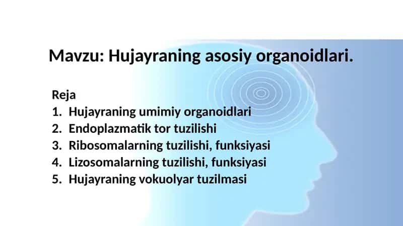 Hujayraning asosiy organoidlari