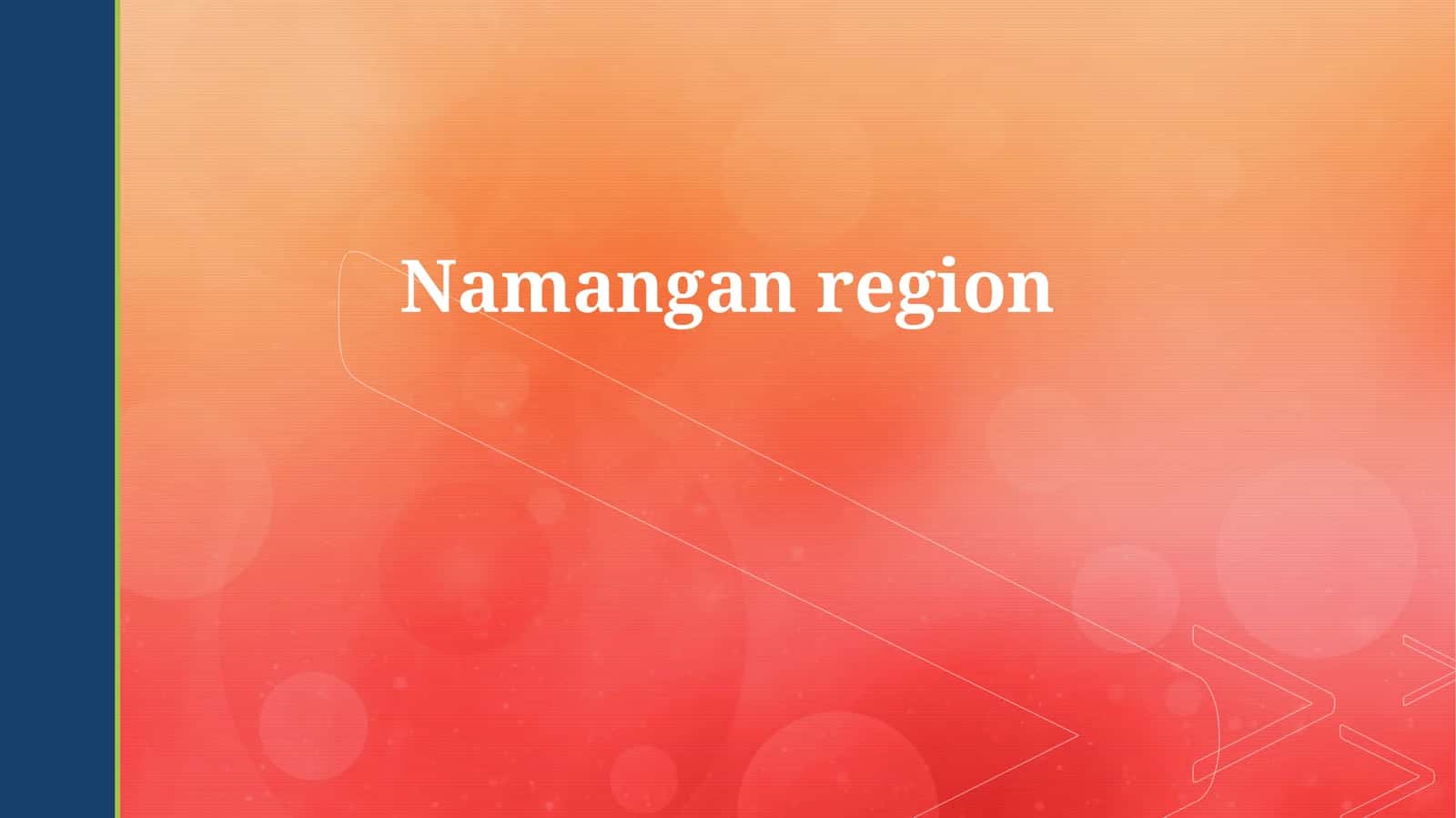Namangan region