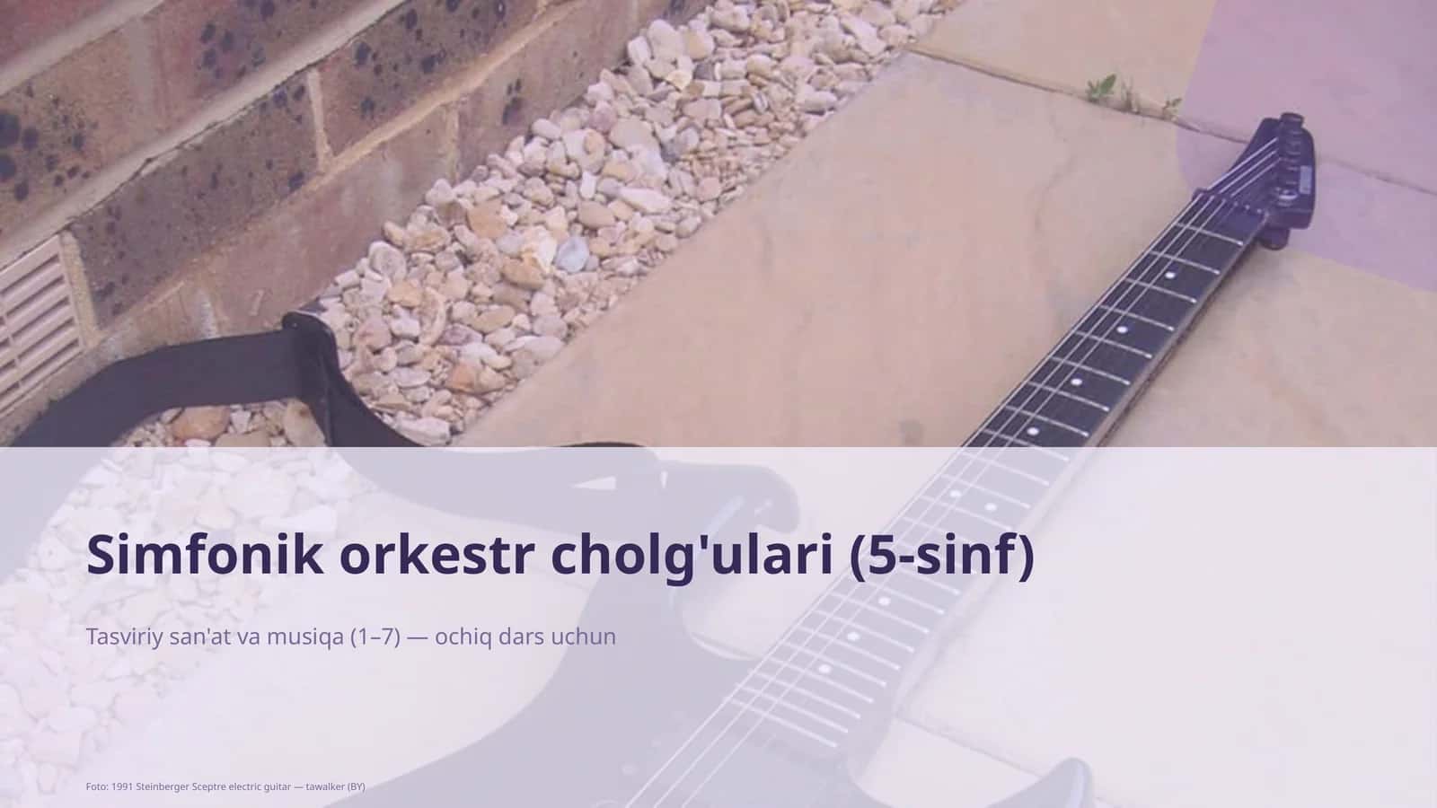 Simfonik orkestr cholg'ulari (5-sinf)