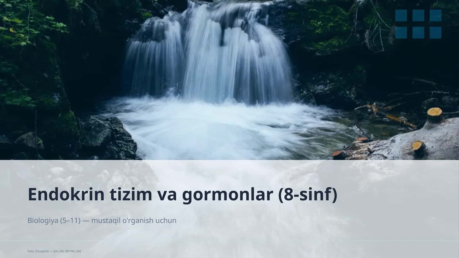 Endokrin tizim va gormonlar (8-sinf)