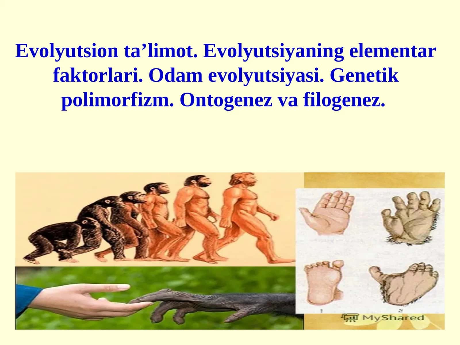 Evolyutsion ta’limot. Evolyutsiyaning elementar faktorlari. Odam evolyutsiyasi. Genetik polimorfizm. Ontogenez va filogenez