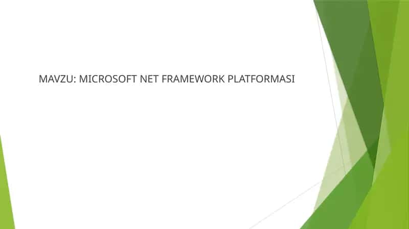 MICROSOFT NET FRAMEWORK PLATFORMASI