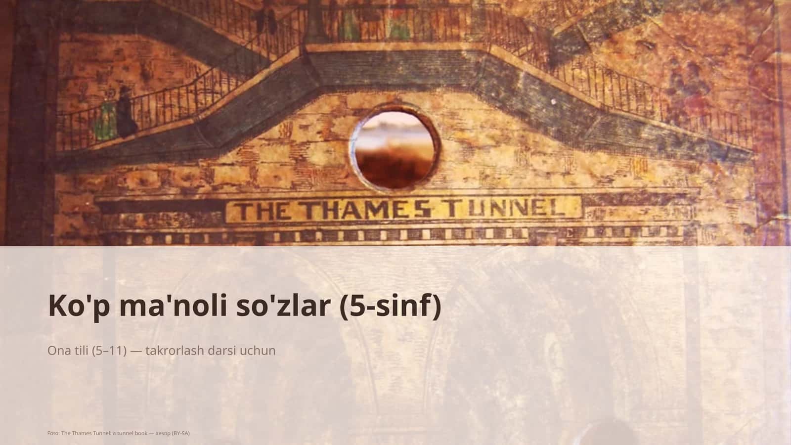 Ko'p ma'noli so'zlar (5-sinf)