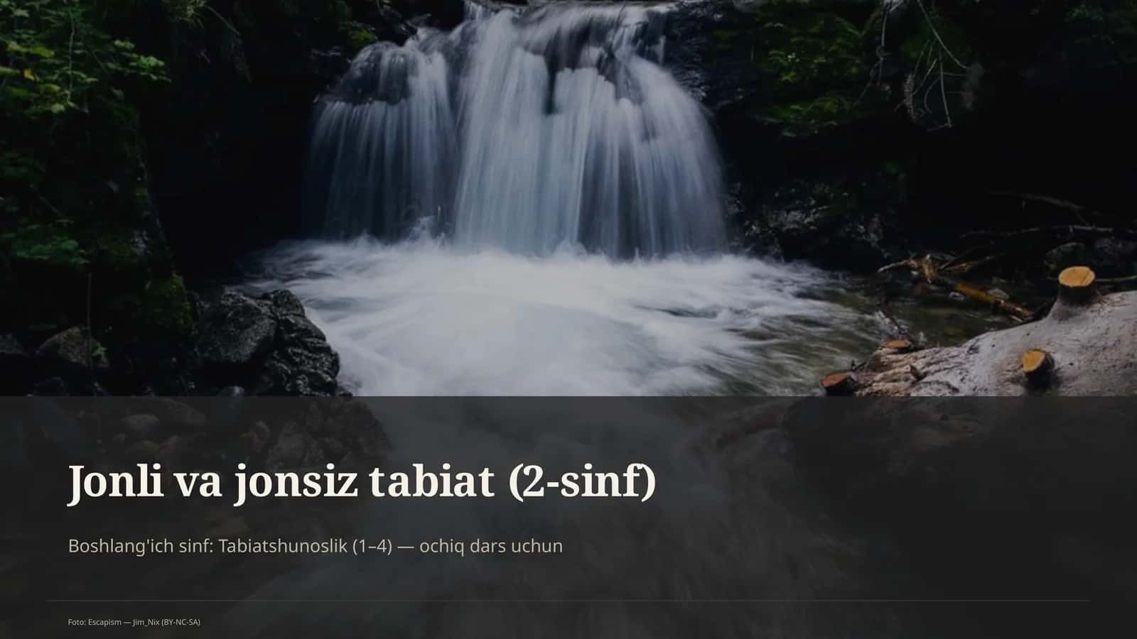 Jonli va jonsiz tabiat (2-sinf)