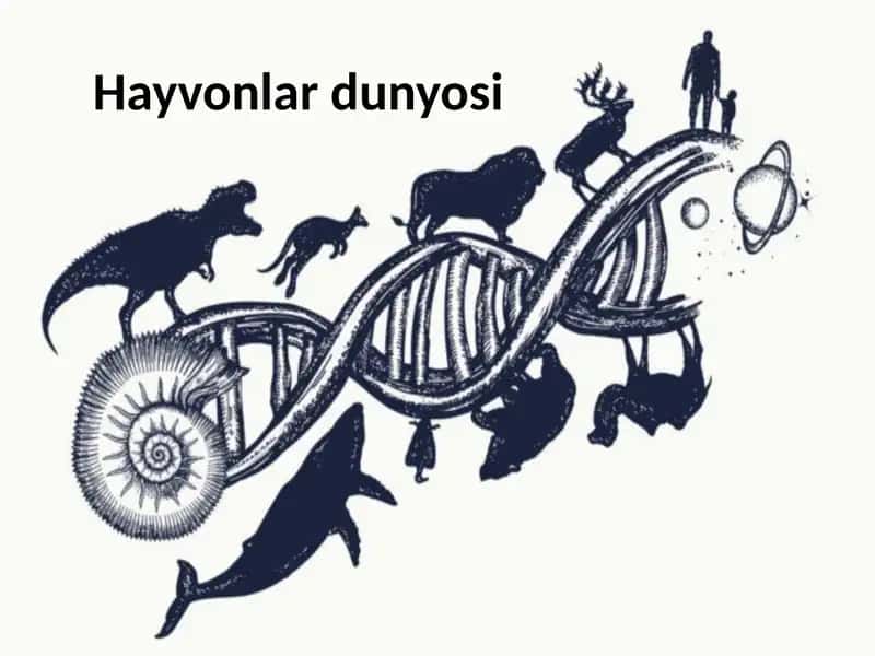 Hayvonlar dunyosi