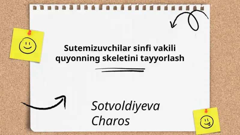 Sutemizuvchilar sinfi vakili quyonning skeletini tayyorlash