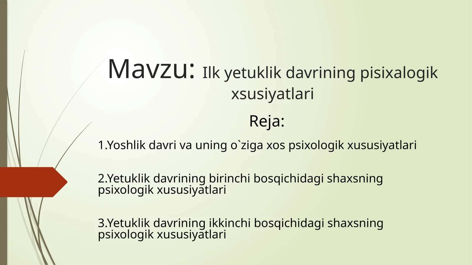 Ilk  yetuklik davrining  pisixalogik  xsusiyatlari