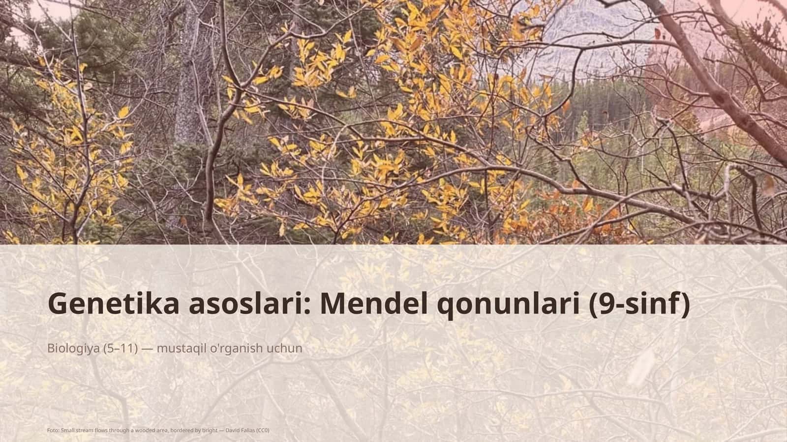 Genetika asoslari: Mendel qonunlari (9-sinf)