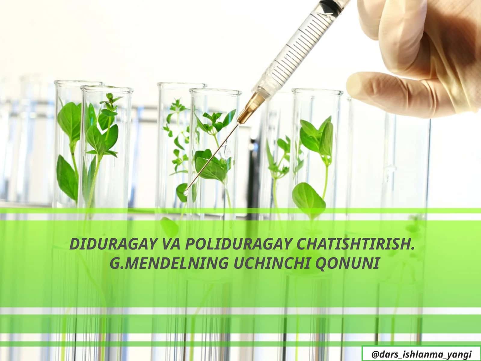 DIDURAGAYVA POLIDURAGAY CHATISHTIRISH.G.MENDELNING UCHINCHI QONUNI