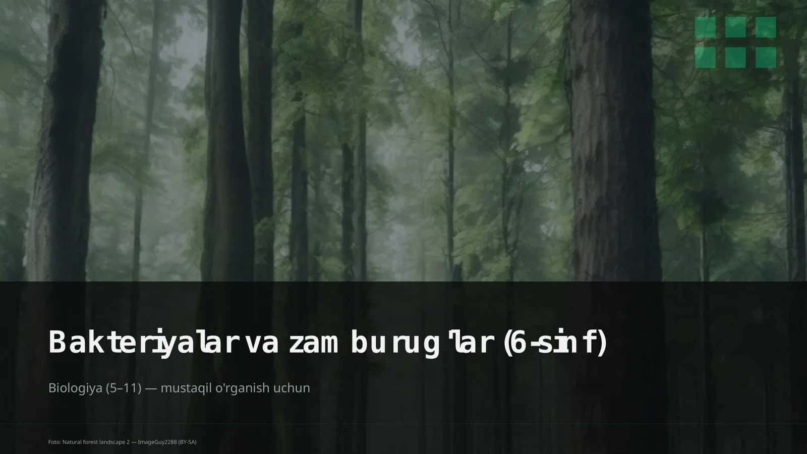 Bakteriyalar va zamburug'lar (6-sinf)
