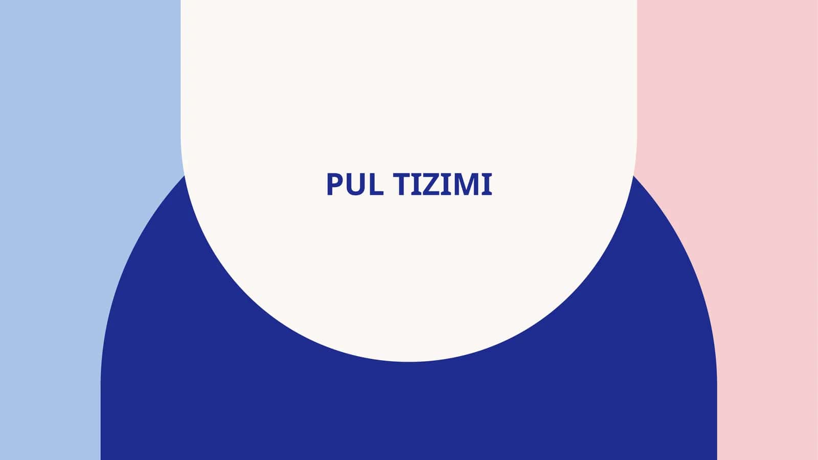 Pul tizimi