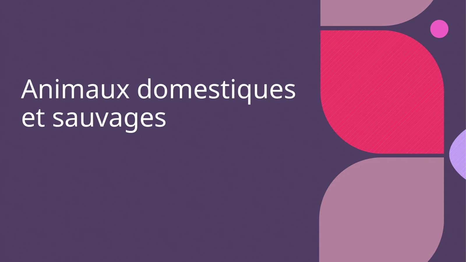 Animaux domestiques et sauvages