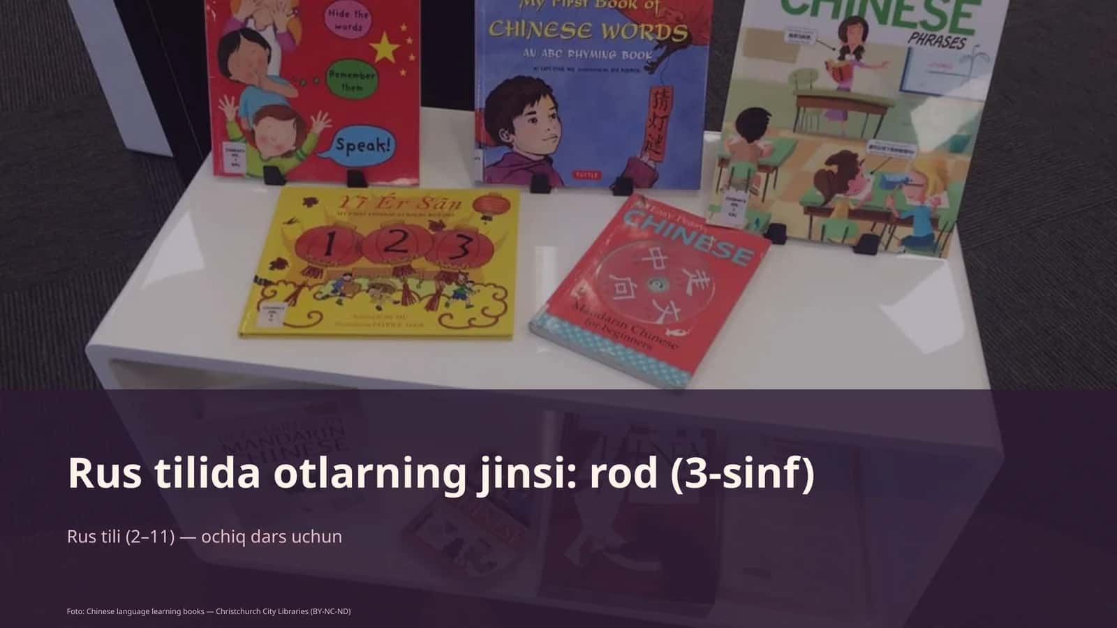 Rus tilida otlarning jinsi: rod (3-sinf)