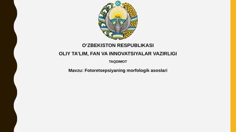 Fotoretsepsiyaningmorfologikasoslari