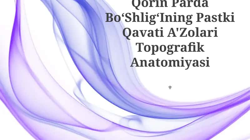 Qorin Parda BoʻShligʻIning Pastki Qavati A'Zolari Topografik Anatomiyasi