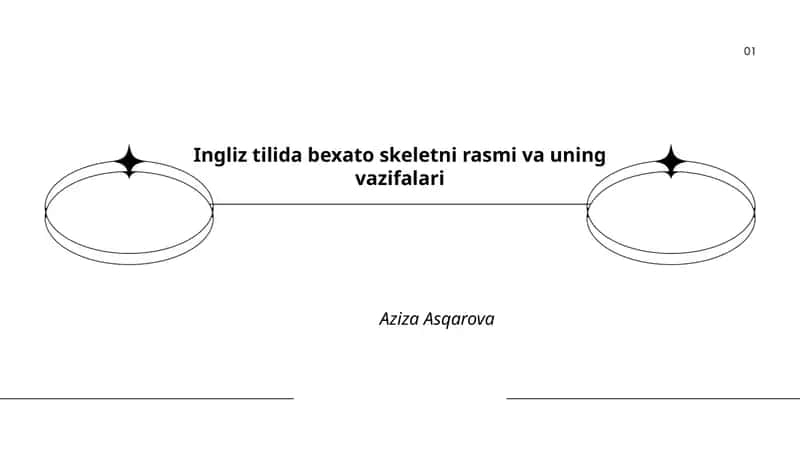Ingliz tilida bexato skeletni rasmi va uning vazifalari