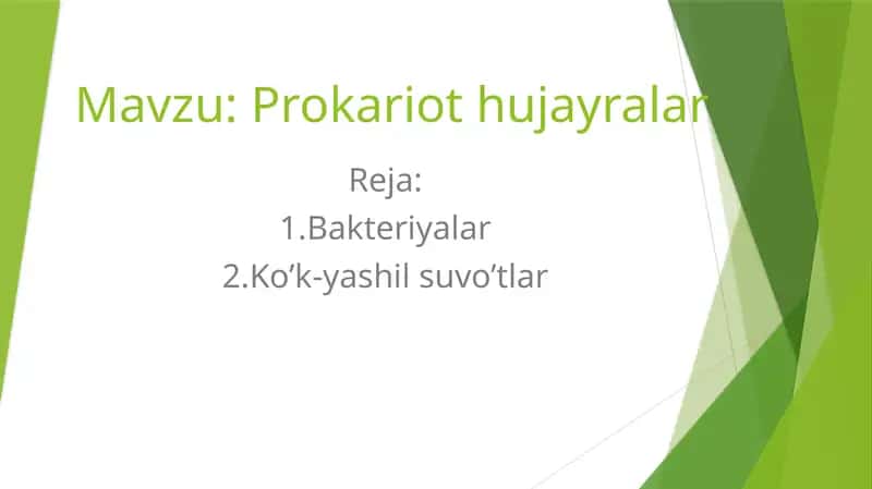 Prokariothujayralar