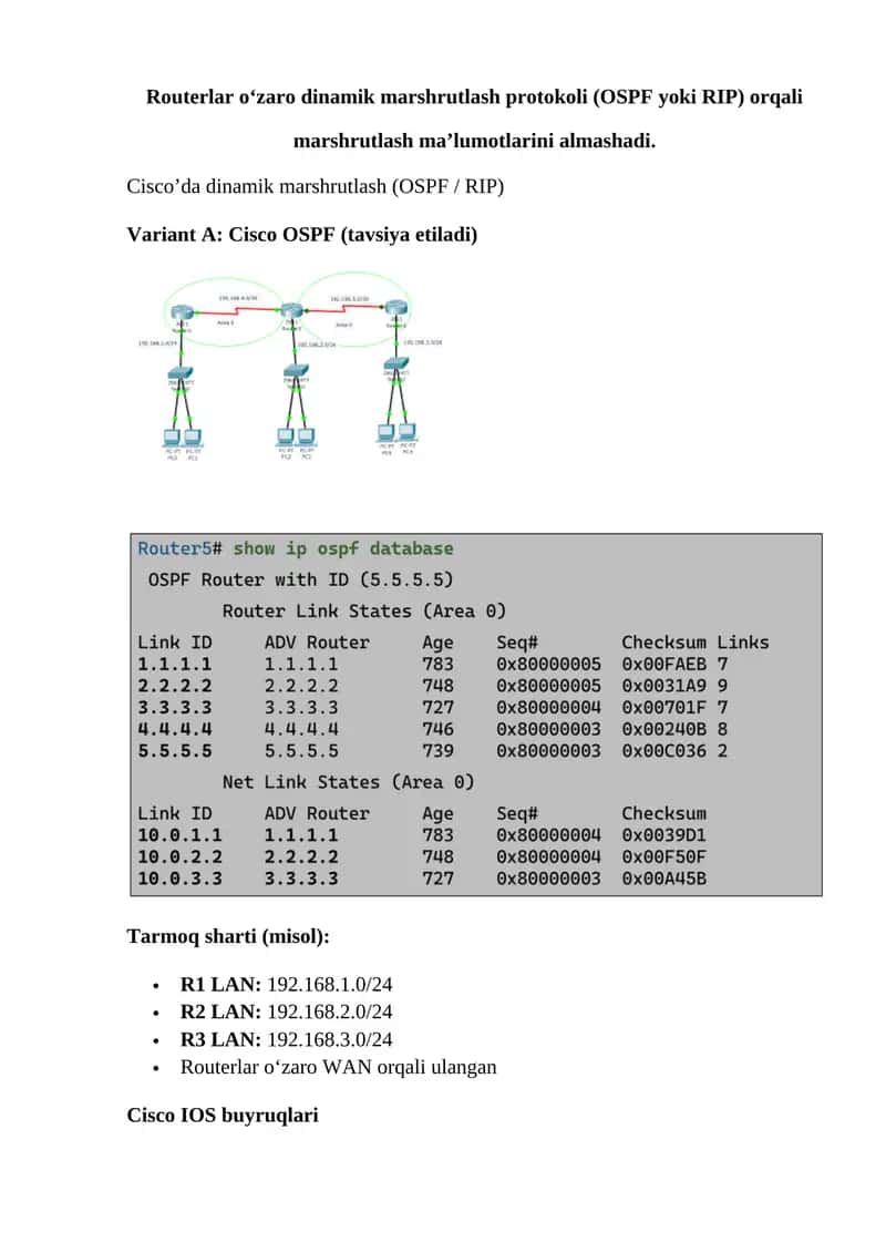 Routerlar dinamik marshrutlash protokollari (OSPF yoki RIP)