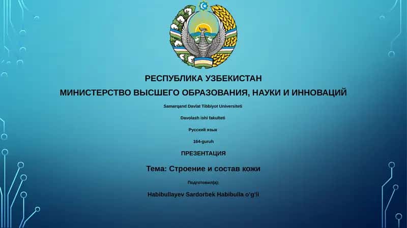 Презентация: Строение и состав кожи