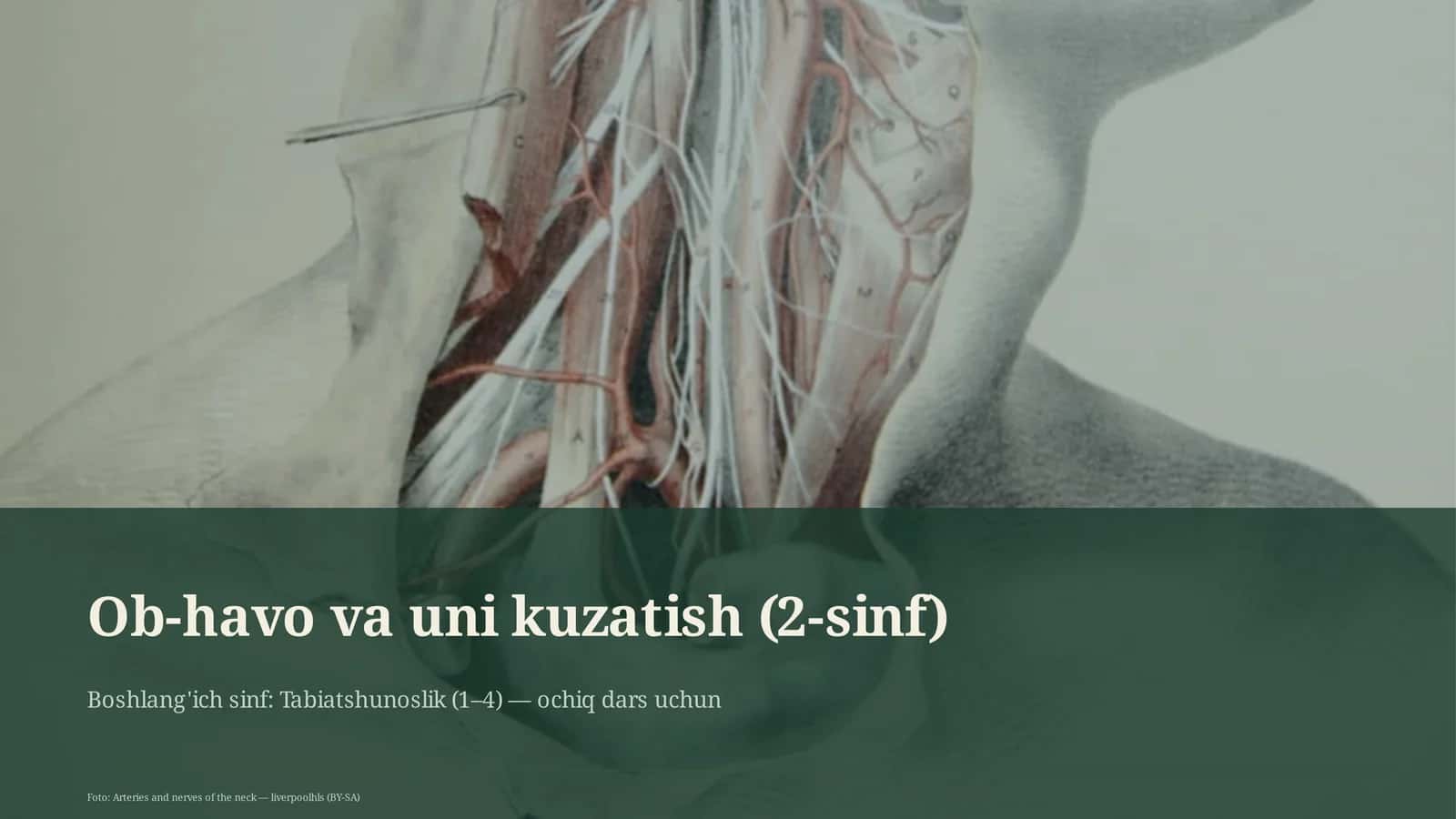 Ob-havo va uni kuzatish (2-sinf)