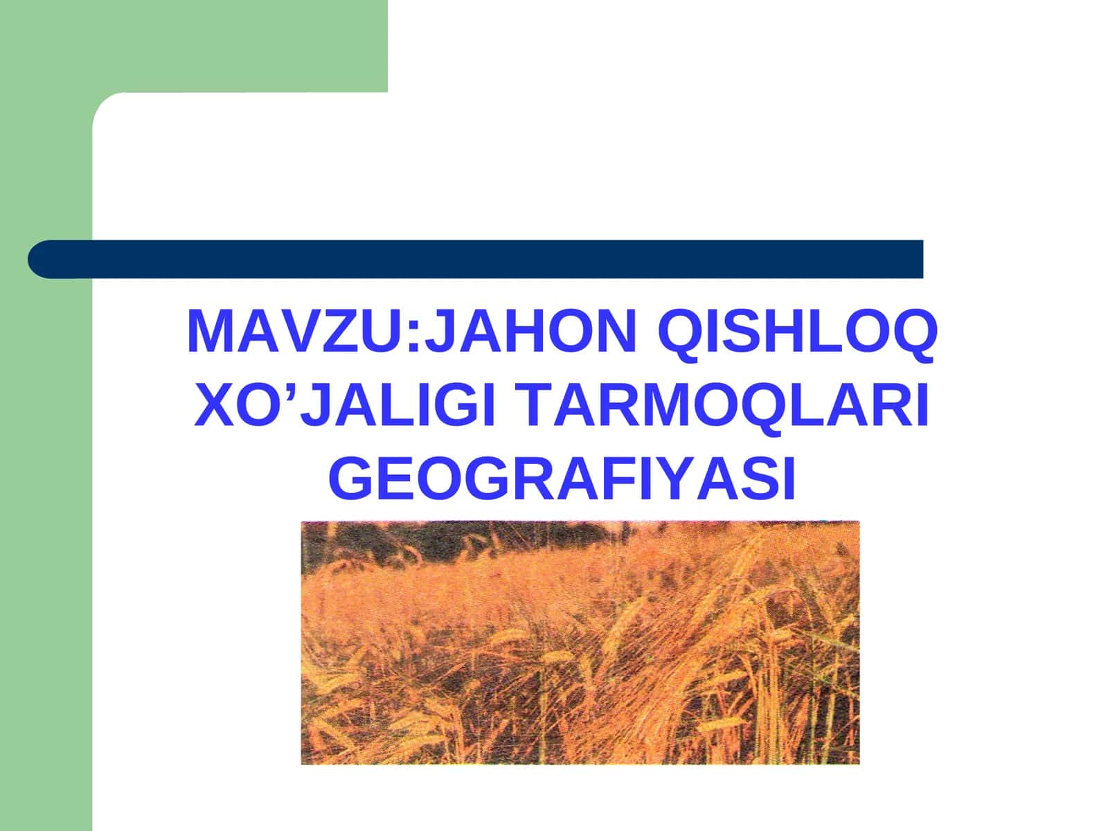 JAHON QISHLOQ XO’JALIGI TARMOQLARI GEOGRAFIYASI
