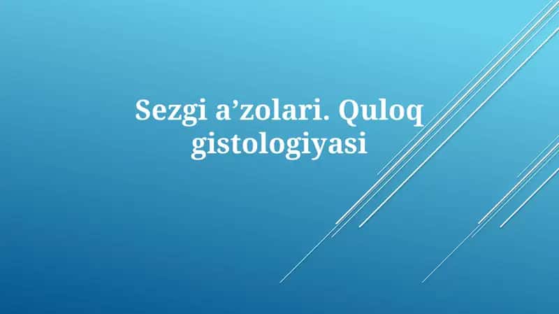 Sezgiaʼzolari.Quloqgistologiyasi