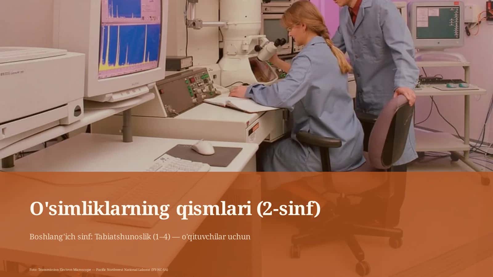 O'simliklarning qismlari (2-sinf)