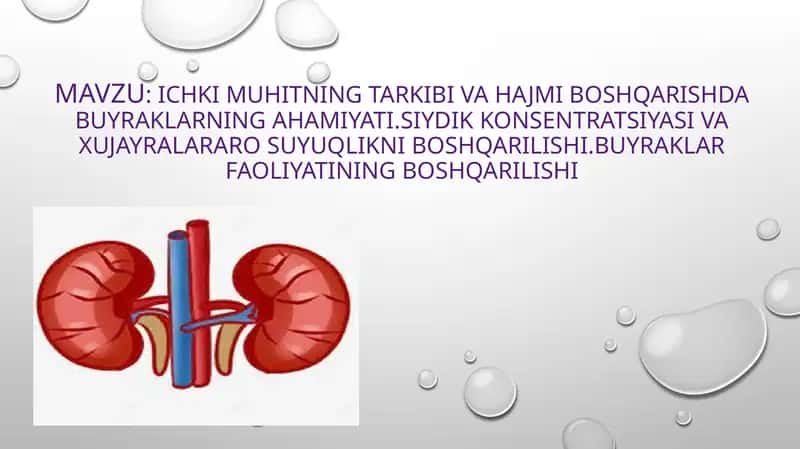 Ichki muhitning tarkibi va hajmi boshqarishda buyraklarning ahamiyati.siydik konsentratsiyasi va xujayralararo suyuqlikni boshqarilishi.Buyraklar faoliyatining boshqarilishi