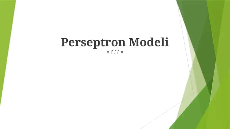 Perseptron Modeli