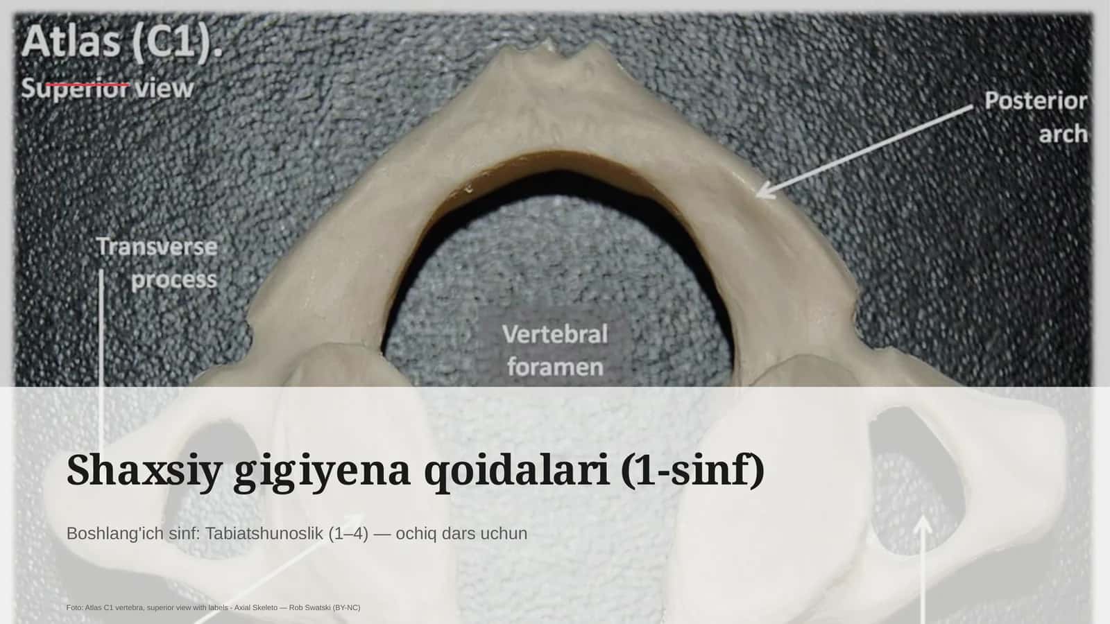Shaxsiy gigiyena qoidalari (1-sinf)