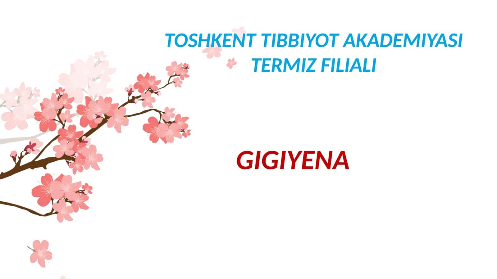 OZIQ-OVQAT MAHSULOTLARIGA QOʼYILADIGAN GIGIENIK TALABLAR